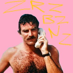 zeriouzbuzinezz
