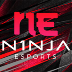 N1X eSports
