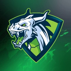 RAVAGEtm