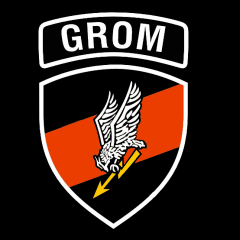 Grom TEAM