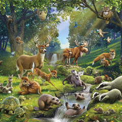 ForestAnimals