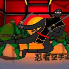 Ninja Karatists