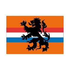 Dutch Lions