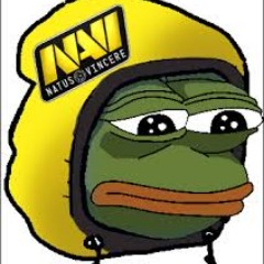 Natus Losers