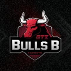 Nplay GtzBullsB