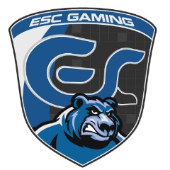 ESC-GAMING