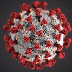 Virus_pro