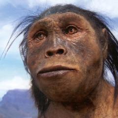 luolamens