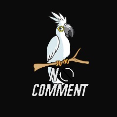_NoComment_