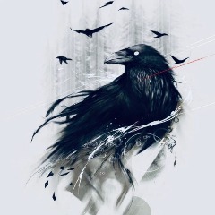 Windy Crows