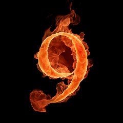 9site