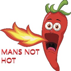 TeamMansNotHot