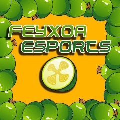 Feyxoa Esports