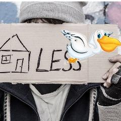 hpelicans