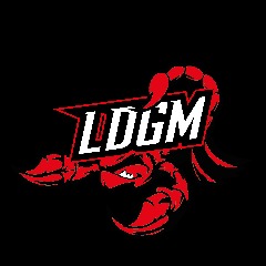 LDGM