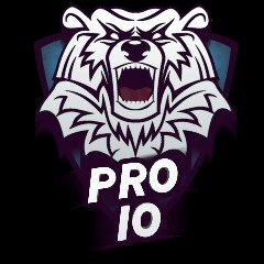 Team Pro10