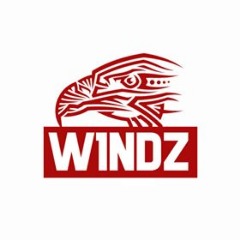 WindZ eSports