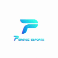 Perevoz Esports