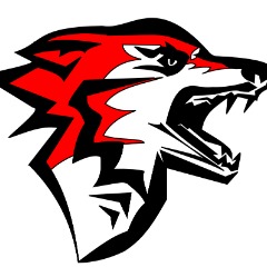 Team Wolf