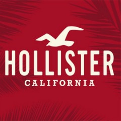 Hollister team