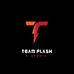 TeamF1ash