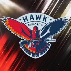 HAWK_ZETA