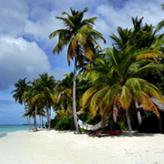 MixedParadise