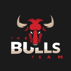 The Bulls TEAM