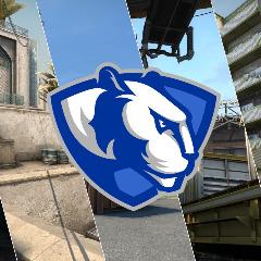EIU CSGO