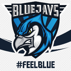 BLUEJAYSblue
