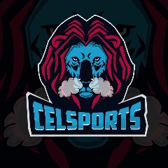 Team CelSports