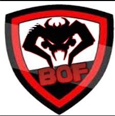 BotsOnFire