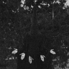 AFTERLIFE
