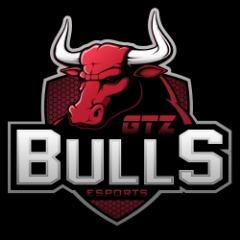 NPlay GTZ Bulls