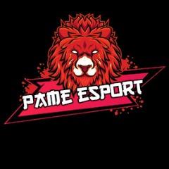 Pame eSports