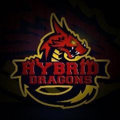 Hybrid Dragons