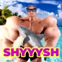 Nivsoguy