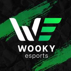Wooky eSports