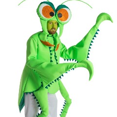 Modliszki