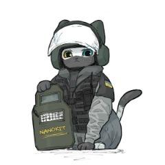NanoKit