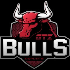 NPLAY GTZ Bulls
