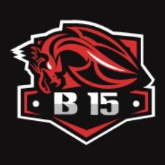 B-15 Esports