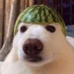 Ne-Auzitii