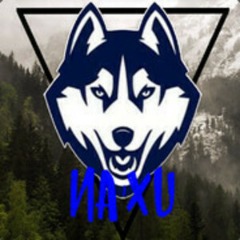 NaXuGaming
