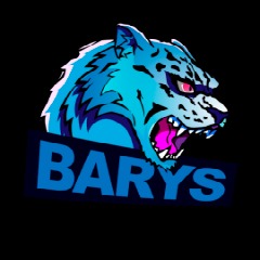 BARYS TEAM