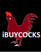 iBUYCOCKS