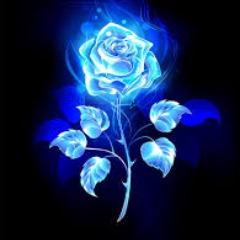 Blue Rose Order