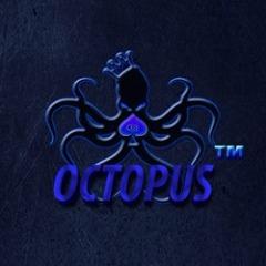 Octopus Team