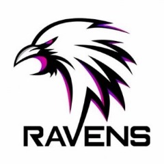 Team of Ravens