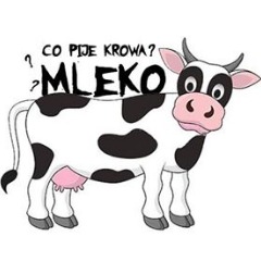 CO PIJE KROWA